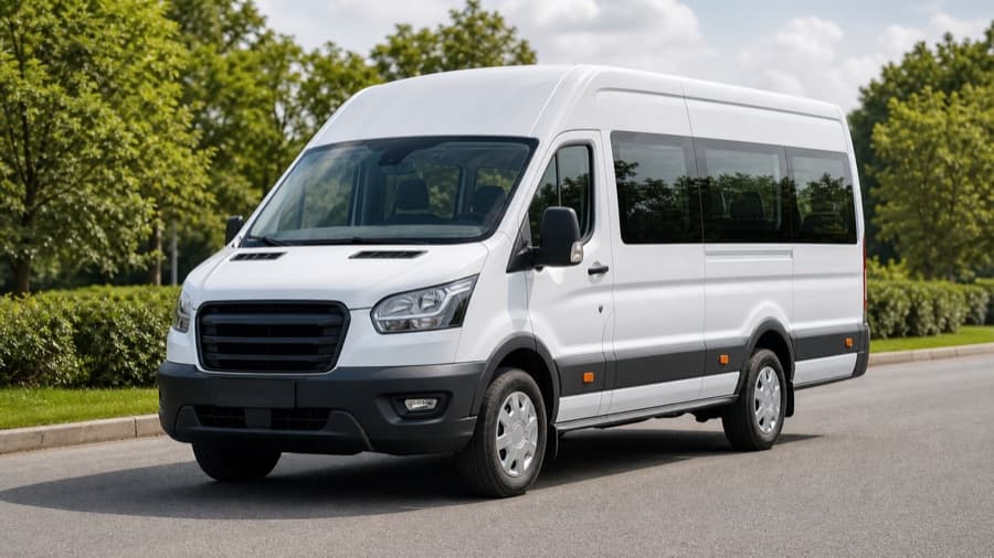 Vans and buses